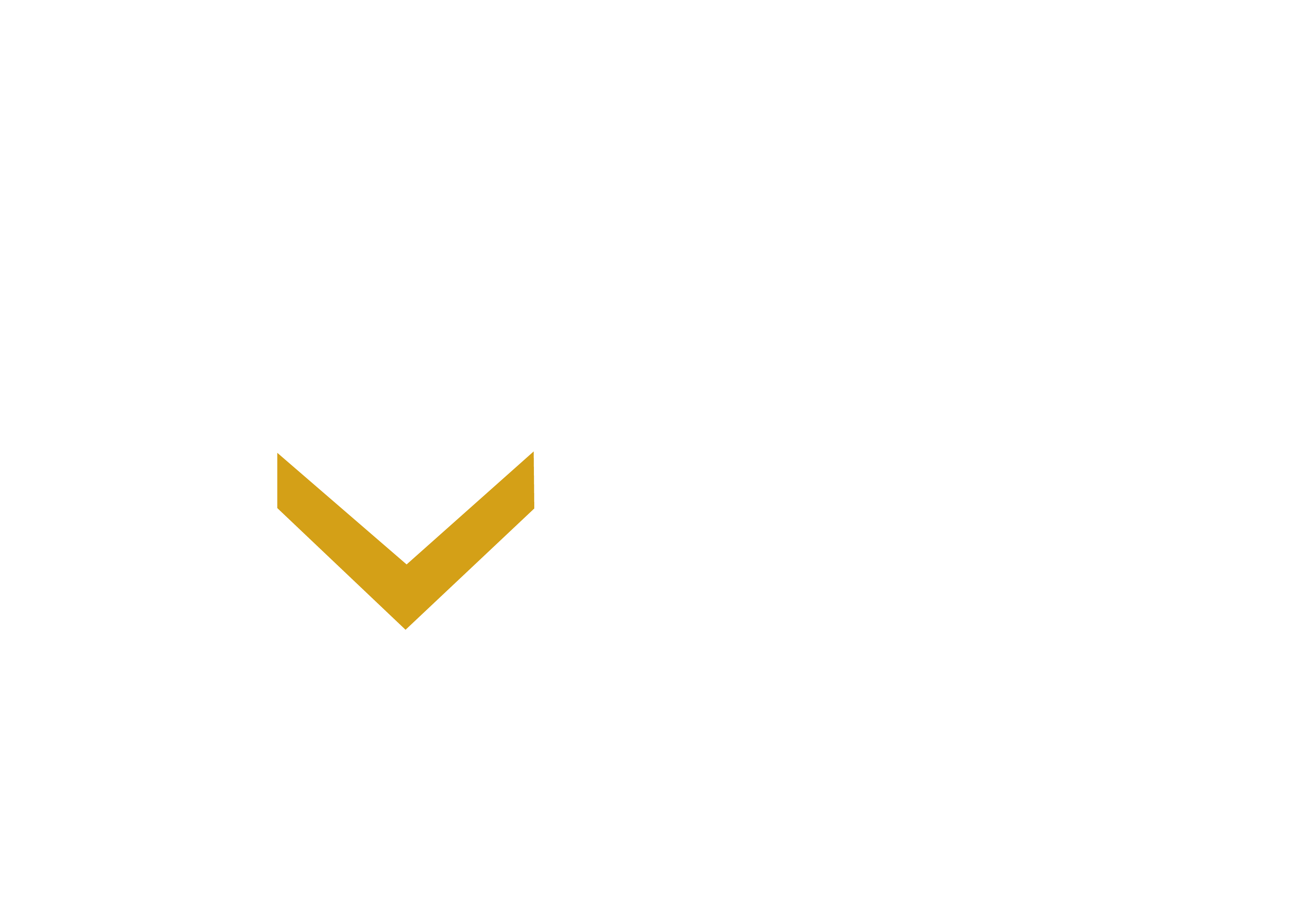About Afro Vibes Café